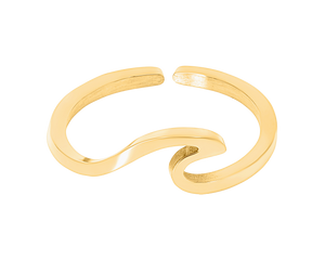 Welle Ring